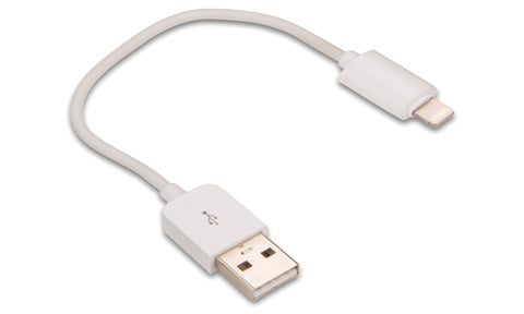 Garmin USB TypeA to Apple Lightning Adaptor Cable
