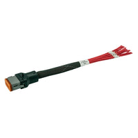 DC12 OUTPUT FLYING LEADS (J1)