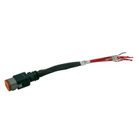 DC12 INPUT FLYING LEADS (J2)