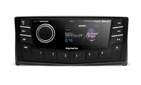 Raymarine Punch RMX-5 Media Receiver