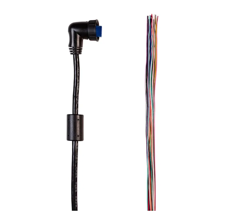 In/Out Data Cable (19-pin), Sensor/Relay Output - 010-13009-04