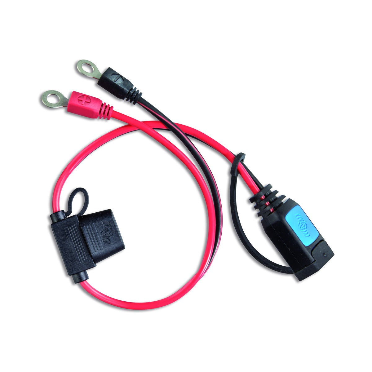 Victron Blue Smart Charger